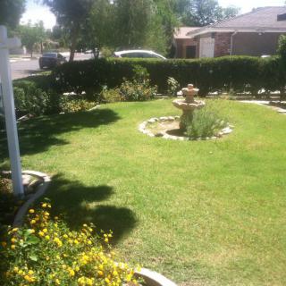 A sunny garden landscape featuring a central fountain, surrounded by green grass, colorful flowers, and neatly trimmed bushes.