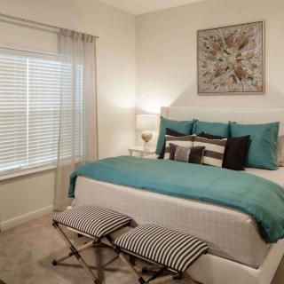 A modern bedroom with teal bedding, artistic wall decor, and ample natural light from a window with blinds.