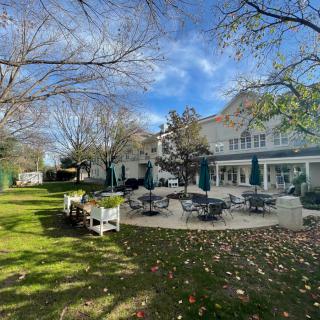 A backyard with a spacious patio area, surrounded by trees and fallen autumn leaves under a clear blue sky.