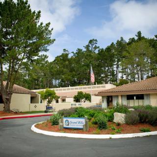 A healthcare facility surrounded by trees and natural scenery.