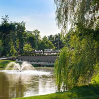 A peaceful pond with a flowing fountain, surrounded by lush greenery and a quaint bridge.