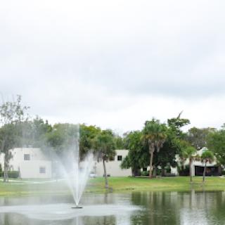 A serene view of a park with a fountain in the lake, surrounded by greenery and residential homes under a cloudy sky.