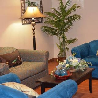 A cozy living room with blue and gray sofas, a decorative lamp, a plant, and a coffee table with floral decor.