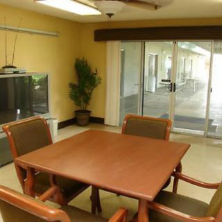 A small meeting room with a wooden conference table, chairs, and a television, featuring an indoor plant and sliding glass doors.