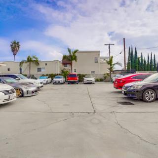 A vibrant parking lot filled with various cars, framed by palm trees and a clear blue sky.