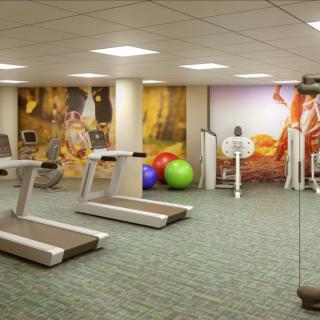 A modern gym equipped with treadmills and fitness balls.