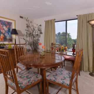 A cozy dining room with a wooden table and chairs, decorated with plants and artwork, featuring large windows with curtains.