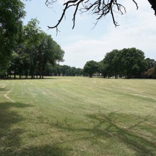 A serene view of a grassy field surrounded by trees under a clear sky.