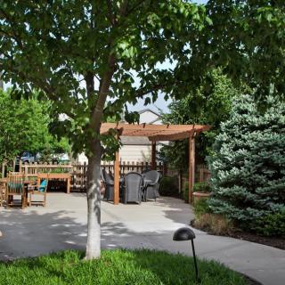 A serene garden with a tree-lined pathway and a wooden pergola.