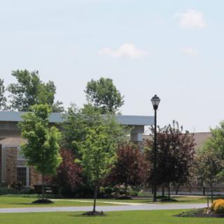 A scenic view of a landscaped area with trees, a building, and a pathway under a clear sky.