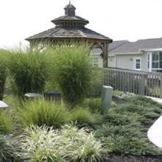 A beautiful garden with a gazebo surrounded by lush greenery.