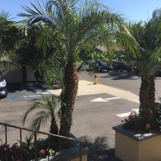 Courtyard Care Center - Signal Hill