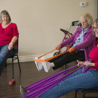 A group of elderly women engaging in a seated exercise session using resistance bands.