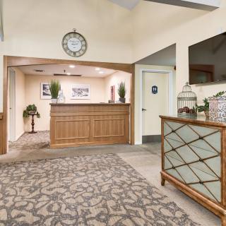 A welcoming hotel reception area with a wooden desk, decorative plants, and a patterned carpet.
