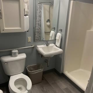 A small bathroom with a toilet, sink, and shower.