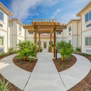 A modern courtyard with a pathway surrounded by plants and a wooden pergola.