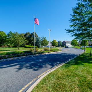 A scenic view of a road lined with trees and an American flag flying under a clear blue sky.