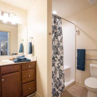 A well-lit bathroom featuring a vanity with a mirror, a shower with a patterned curtain, and neatly hung towels.