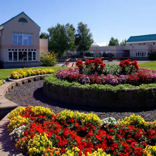 A vibrant garden featuring a variety of colorful flowers, surrounded by well-maintained landscaping and buildings.