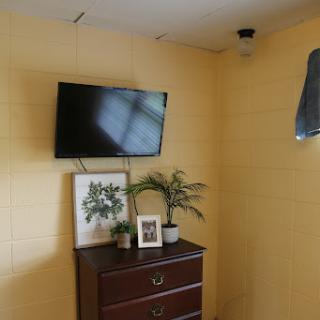 A cozy living space featuring a television mounted on a yellow wall, complemented by decorative elements including a plant and framed pictures.
