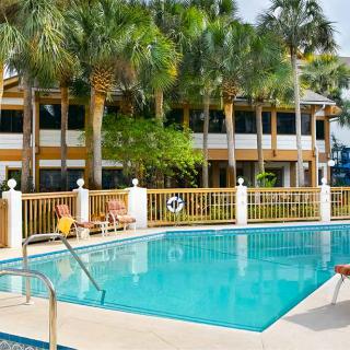 A serene outdoor swimming pool surrounded by palm trees, perfect for a tropical getaway.