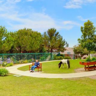 A sunny day in the park with a person sitting on a bench and a pony grazing nearby.