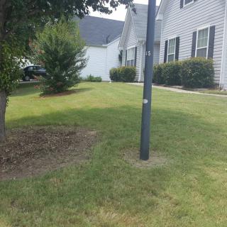 A suburban house with a well-maintained lawn and trees.