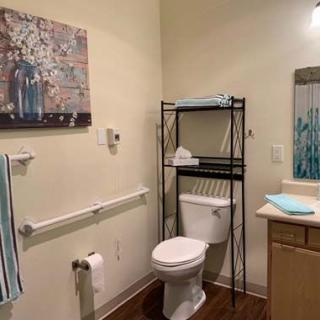 A clean and organized bathroom with a toilet, sink, and shelves for storage.