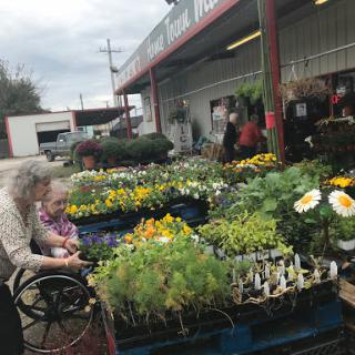 An inviting garden center filled with vibrant flowers and plants, where a person in a wheelchair is exploring the selection.