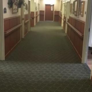 A quiet hallway with carpeted flooring and several doors along the sides.