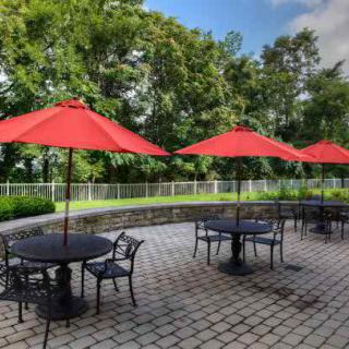A charming outdoor patio with tables shaded by vibrant red umbrellas, set against a backdrop of lush green trees.