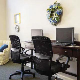 A small office space with two computer stations and decorative elements.