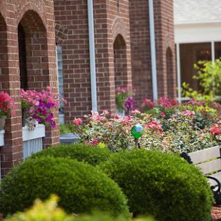 A vibrant garden featuring a variety of colorful flowers and well-maintained shrubs alongside a brick building.