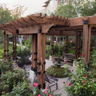 A beautiful wooden pergola surrounded by lush garden and rose bushes, with outdoor seating underneath.