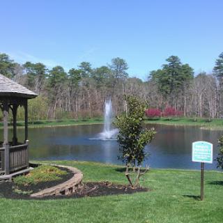A serene park view featuring a gazebo by a pond with a fountain, surrounded by lush greenery and trees.