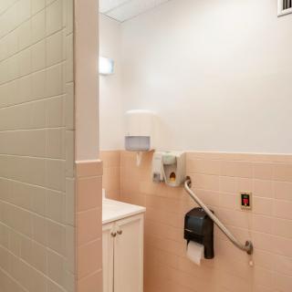 A small bathroom with a sink, handrail, and hygiene dispensers.