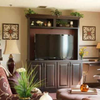 A cozy living room featuring an entertainment center with a television and decorative plants.