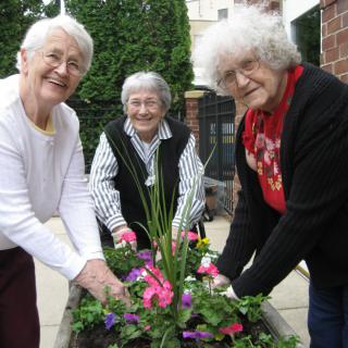 Three elderly women enjoy gardening together, tending to a colorful flower bed outdoors.