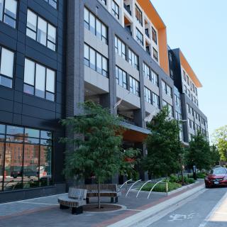 A modern urban building along a tree-lined street.