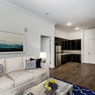 A modern apartment living room with a comfortable sofa, stylish artwork, and adjacent kitchen area.