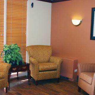 A cozy waiting room with comfortable chairs, warm lighting, and a potted plant.