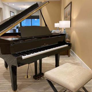 A grand piano placed in a stylish living room setting, accompanied by a comfortable stool.