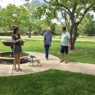 A group of three people and a dog enjoy a sunny day in the park near a fountain.