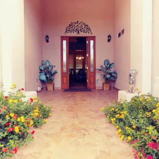 A welcoming entrance with decorative plants and flowers leading into a well-lit interior.