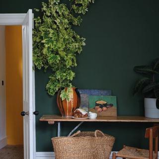 A cozy interior with a lush plant, wooden table, and artwork against a dark green wall.