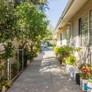 A sunny pathway bordered by lush plants leading to a residential house.