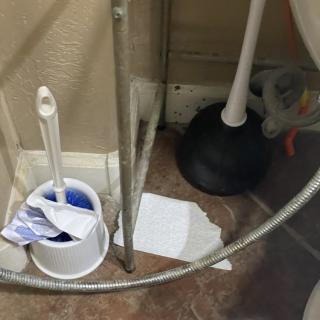 Bathroom corner with a toilet brush and plunger on a tiled floor.