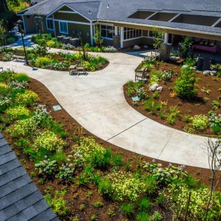 A beautifully landscaped garden with a winding pathway leading to a building entrance.