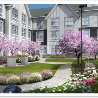 A beautifully landscaped courtyard with blooming trees and flowers.