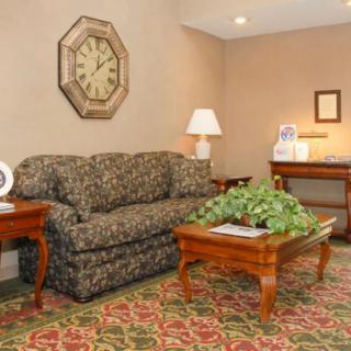 A cozy living room with a patterned sofa, wooden coffee table adorned with an indoor plant, and a decorative wall clock.
